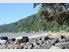 Beachside Home and Rental Income