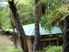 WATERFRONT PELORUS