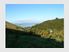 Do you want 104.5 hectares or 258.2 acres approx (Freehold)