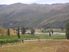 STUNNING VINEYARD LIFESTYLE