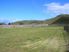 Large Sunny Section - Rare Opportunity!