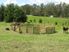 RELAXED IN KERIKERI