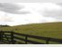 LARGE LIFESTYLE - SMALL FARM