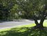 Wychingham - 13.62ha