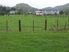 TOLAGA BAY..SECTIONS CLOSE TO TOWN..