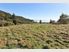 Huria Heights Subdivision - Ligar Bay