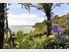 Wow, What A Location!