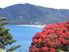 OCEAN AND ISLANDS