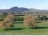EXECUTIVE HOME ON 31.35 HA