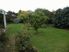 2.765ha (6.8 acres) Quality Westmere Farmlet