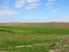 Falconers Road