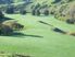 658 Hectares at Tututawa
