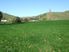 658 Hectares at Tututawa