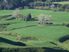 658 Hectares at Tututawa