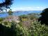 Kauri Ridge Estate - Exclusive Hideaway