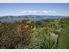 Kauri Ridge Estate - Exclusive Hideaway