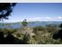 Kauri Ridge Estate - Exclusive Hideaway