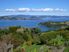 Kauri Ridge Estate - Exclusive Hideaway