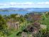 Kauri Ridge Estate - Exclusive Hideaway