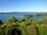 Kauri Ridge Estate - Exclusive Hideaway