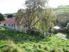 Spacious Rural Views