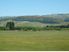 Waipara... 5 hectares for the price of a city section?