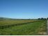Waipara... 5 hectares for the price of a city section?