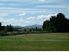 Waipara... 5 hectares for price of a city section?