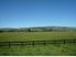 Waipara... 5 hectares for price of a city section?