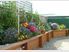 Charming turn of the century villa (Homestay)