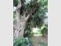 Unparalleled Living - Great Barrier Island