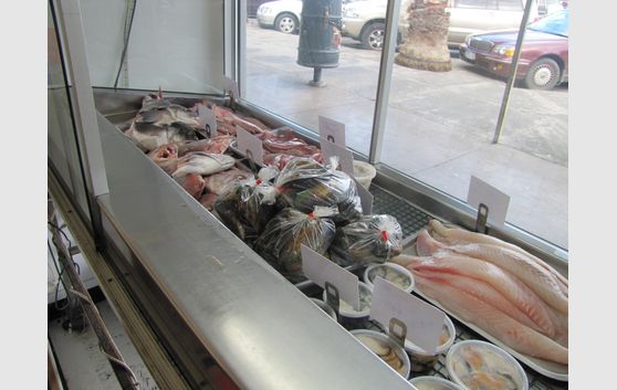 KAITI MALL FISH SHOP