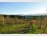 PIP FRUIT ORCHARD - 14.3 HA - GREAT LOCATION