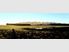 Tui Estate - So Close Yet a World Away