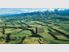 Tui Estate - So Close Yet a World Away