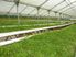 HYDROPONICS