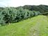360 degree views