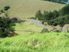 360 degree views