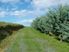 360 degree views
