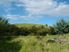 360 degree views