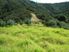 360 degree views