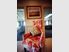 Ruapehu Golf & Country Lodge, Ohakune
