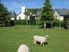 Ruapehu Golf & Country Lodge, Ohakune
