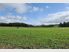 Landbank