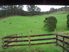 Lifestyler - Calf Rearing