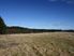 Fifty Acre Bush Blocks