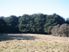 Fifty Acre Bush Blocks