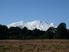 Fifty Acre Bush Blocks