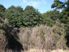 Fifty Acre Bush Blocks