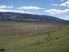 Bendigo Station, Central Otago